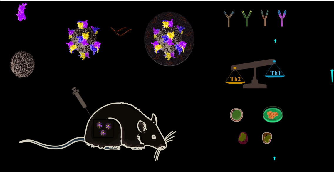 1737599991533509.png 11.png