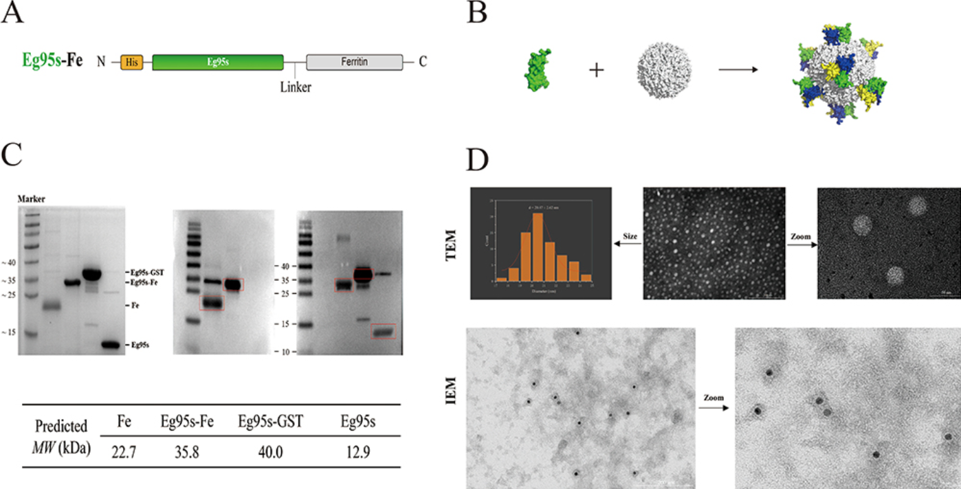 1737600049454809.png 33.png