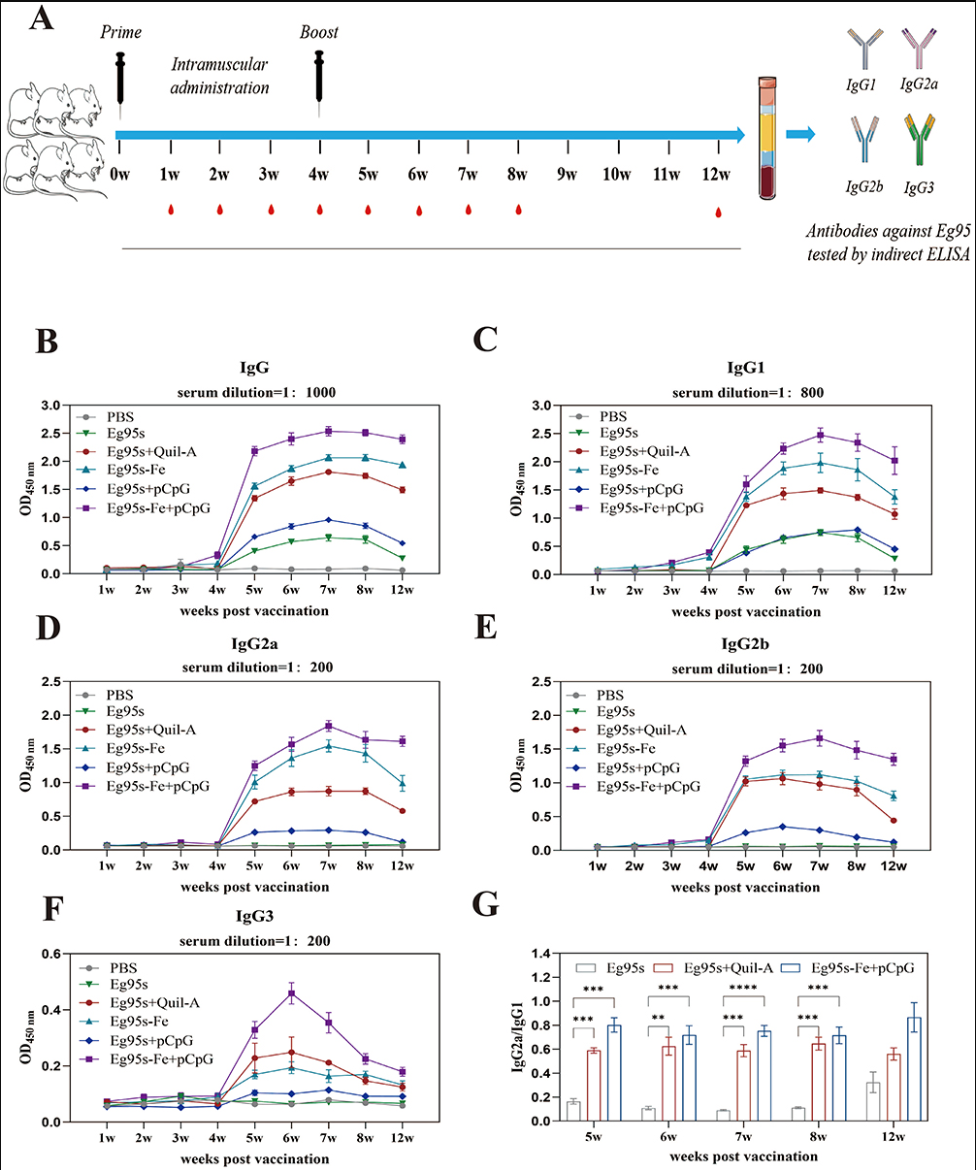 1737600149963743.png 66.png