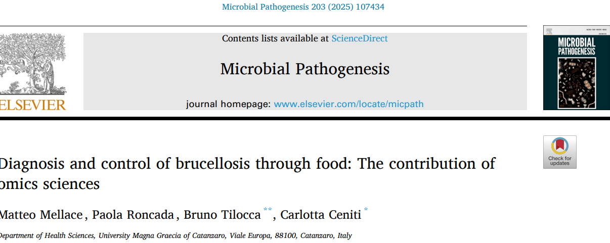 1745899176610724.png 11.png