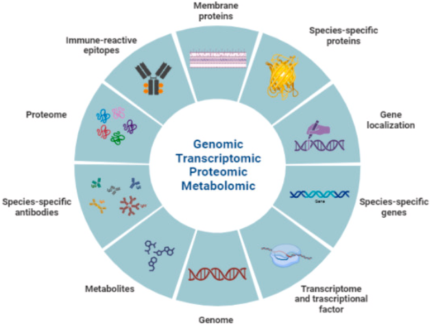 1745899208130794.png 55.png