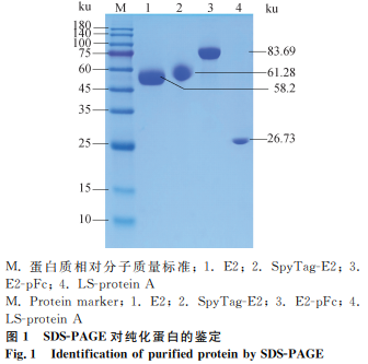 1749712117472955.png 22.png