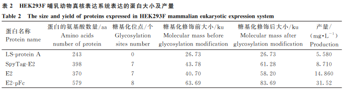 1749712125569040.png 33.png