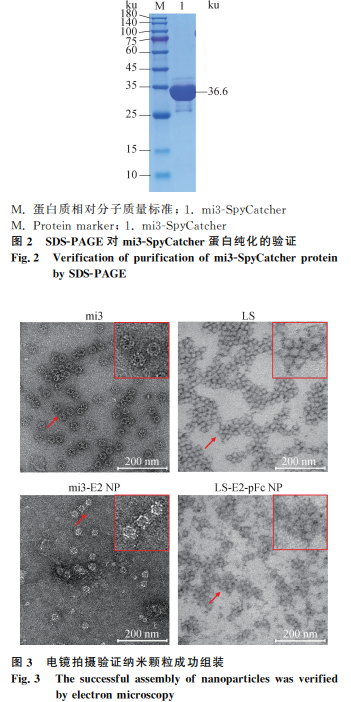 1749712132579807.png 44.png