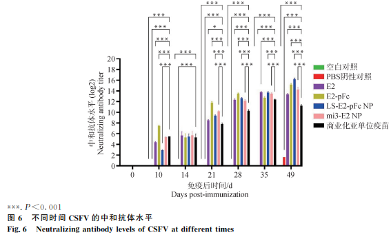 1749712156660656.png 77.png