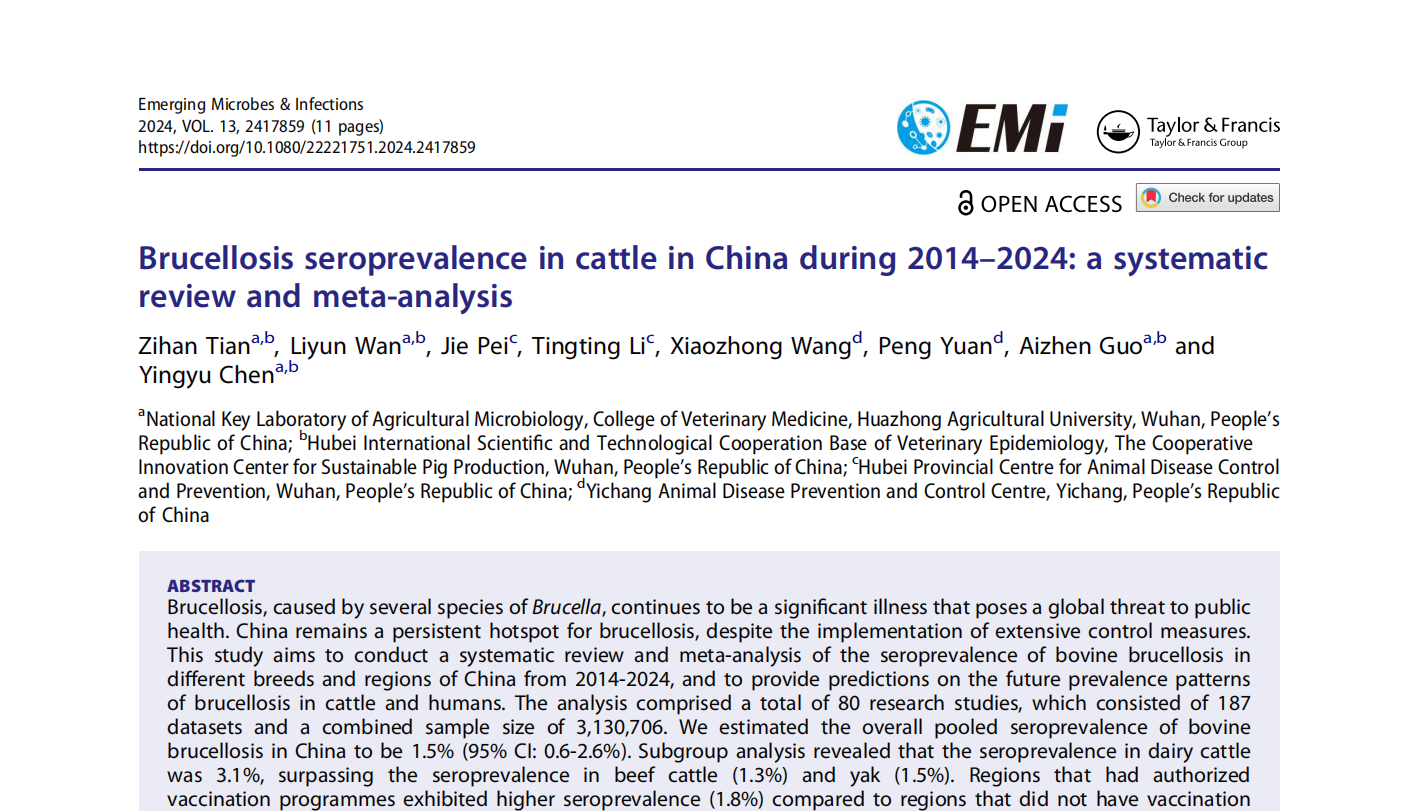 1751013312124103.png 111.png