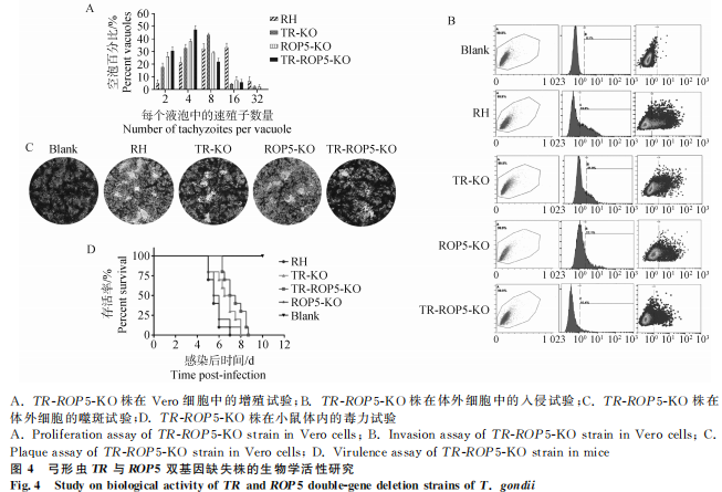 1755052137106652.png 55.png