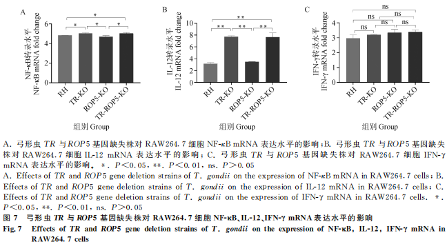 1755052163371257.png 88.png