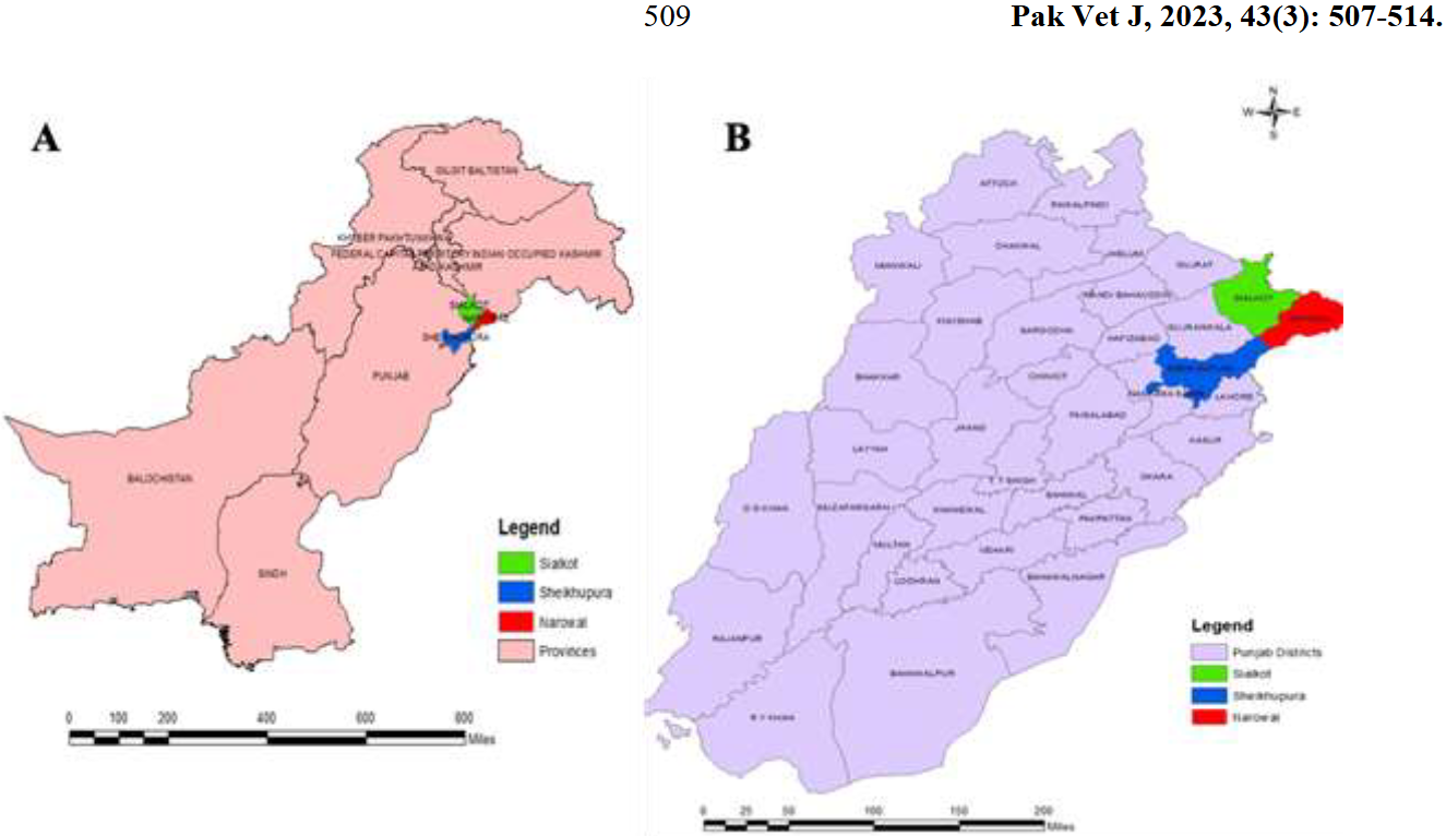 1760418812326355.png 22.png