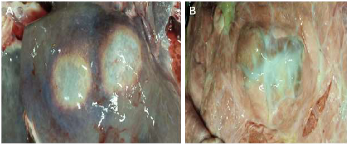 1760418826705643.png 33.png