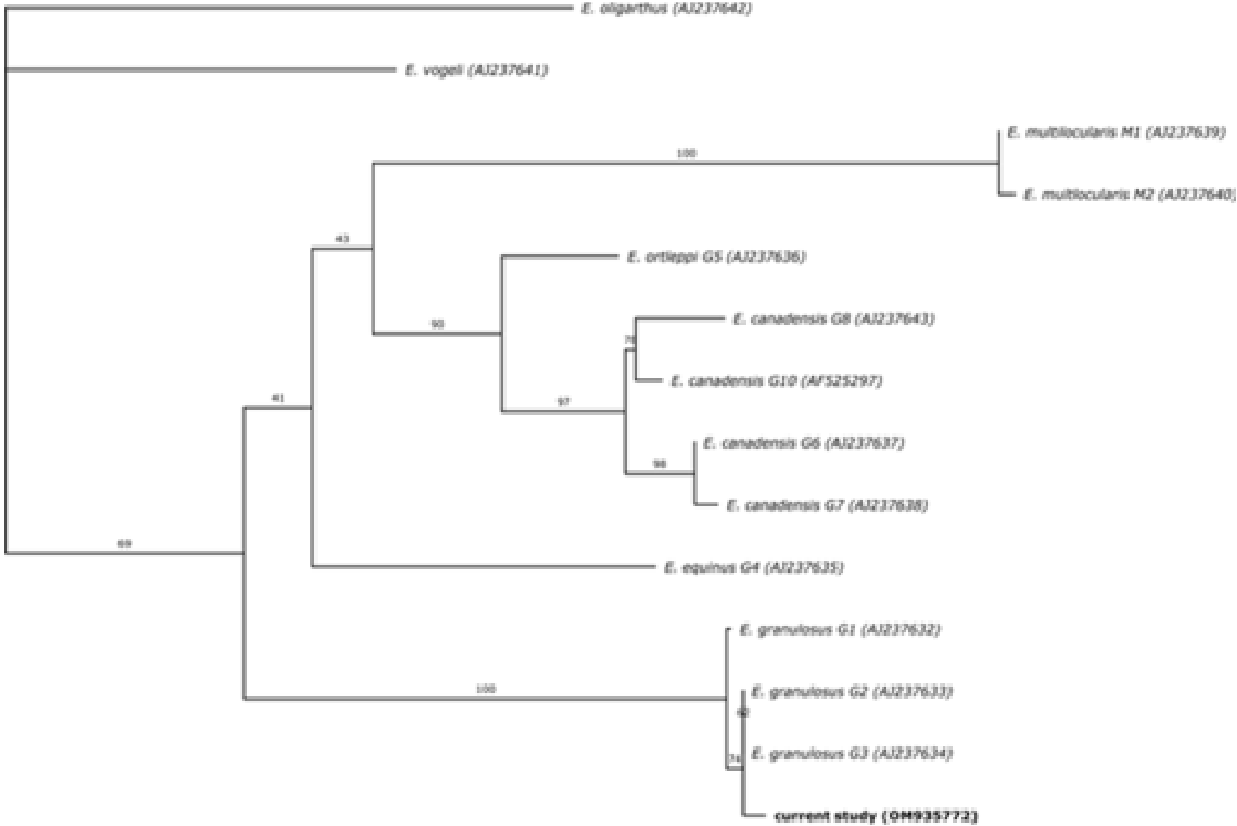 1760418839484356.png 44.png