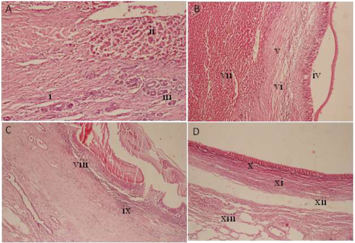 1760418852318161.png 55.png