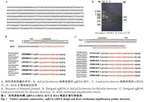 1763624183749150.jpg 222.jpg