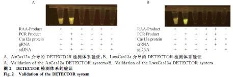 1763624190248777.jpg 333.jpg