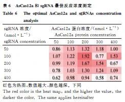 1763624197309259.jpg 444.jpg