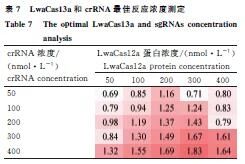 1763624203796481.jpg 555.jpg