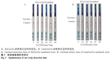 1763624210364652.jpg 666.jpg