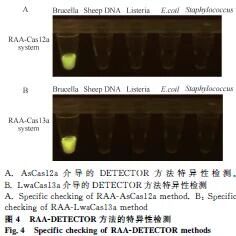 1763624218726546.jpg 777.jpg