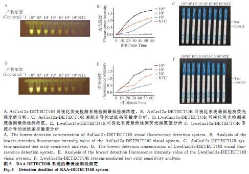 1763624224964022.jpg 888.jpg