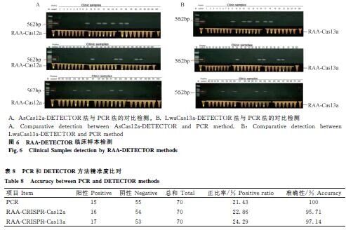 1763624230274994.jpg 999.jpg